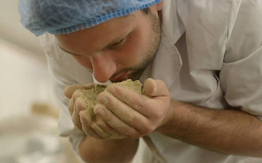 Für ein richtiges Calcium-Phosphor-Verhältnis sorgt das mineralische Gleichgewicht von Reico
