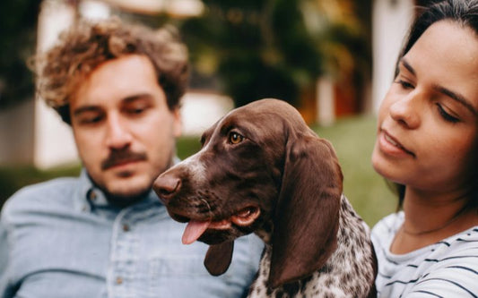 Hundefutter für Allergiker – ran an die Ursache