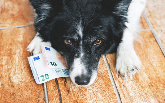 Reico Preise nicht öffentlich – das hat einen Grund