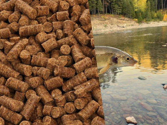 Weißfisch im Hundefutter: Ein Blick auf die Vor- und Nachteile
