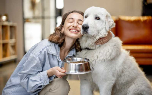 Wie viel Futter braucht mein Hund? - Mit Video kurz erklärt