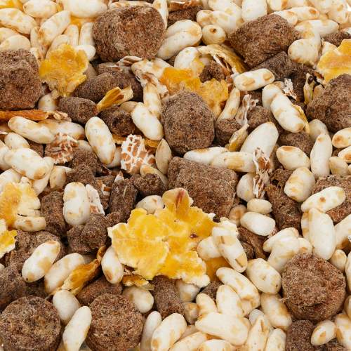 MaxiDog Rind Lamm Reis