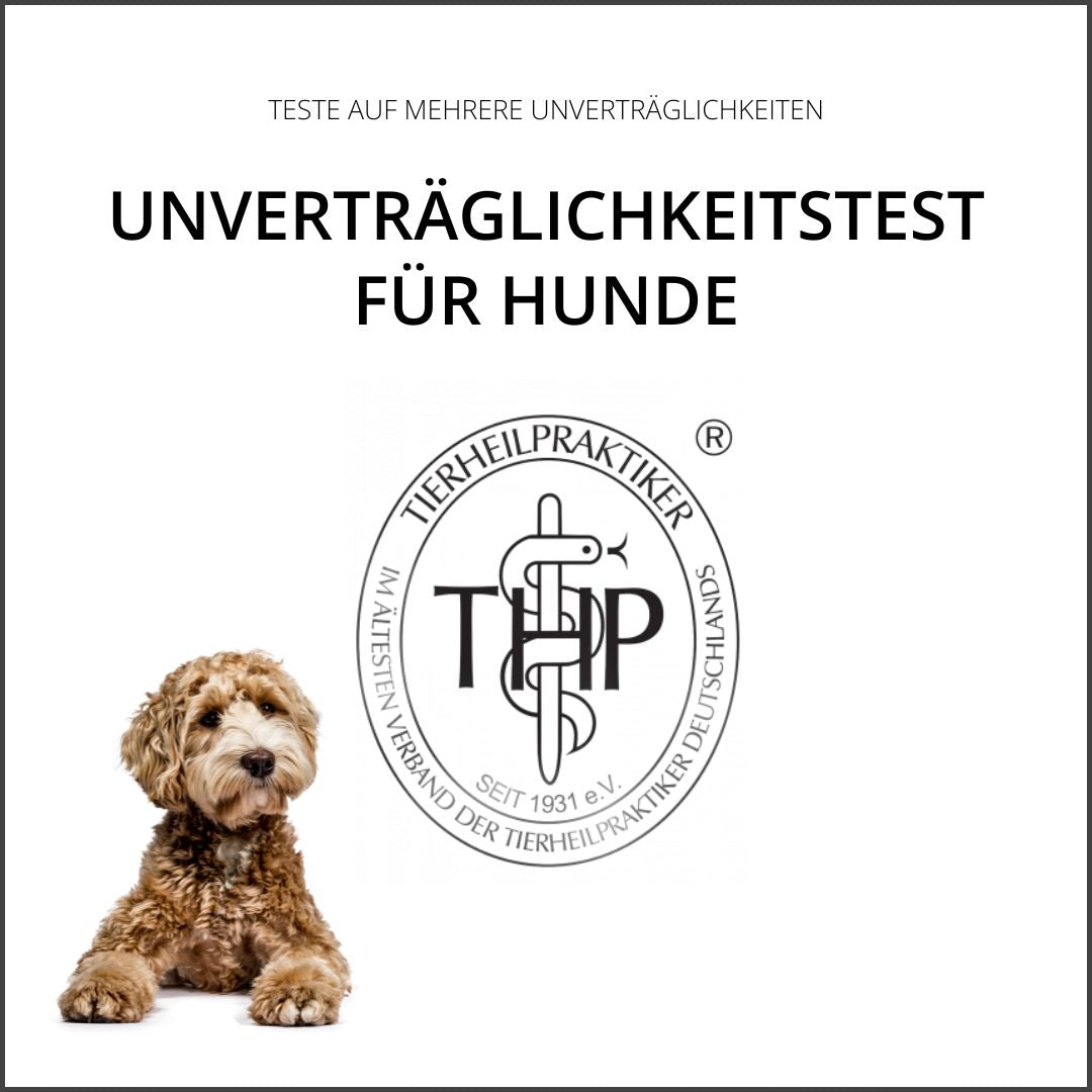 Allergie- und Unverträglichkeitstest für Hunde – mit Fell- und Speichelprobe