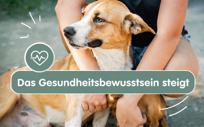 Gesundheitsbewusstsein der Deutschen: Warum du und dein Hund gerade gleichzeitig gesünder leben