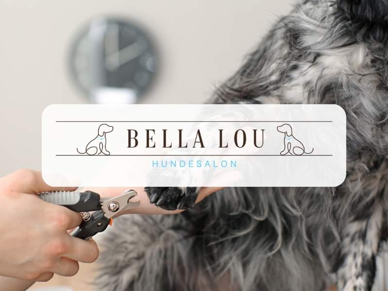 Der Hundesalon Bella Lou aus Grevenbroich ist jetzt überzeugter Reico Partner
