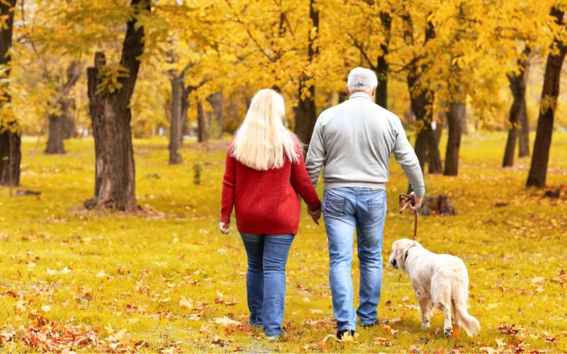 Ein Hundejahr Sind Wie Viel Menschenjahre