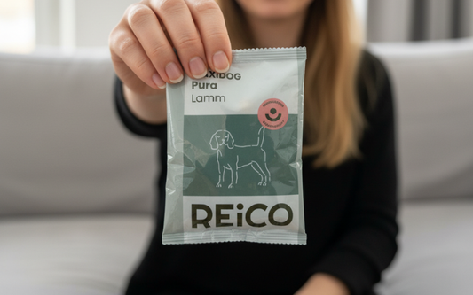 Endlich gutes Hundefutter – besonders wichtig bei Allergien