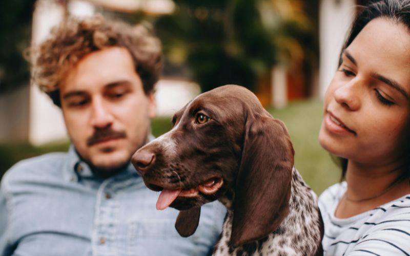 Hundefutter für Allergiker – ran an die Ursache
