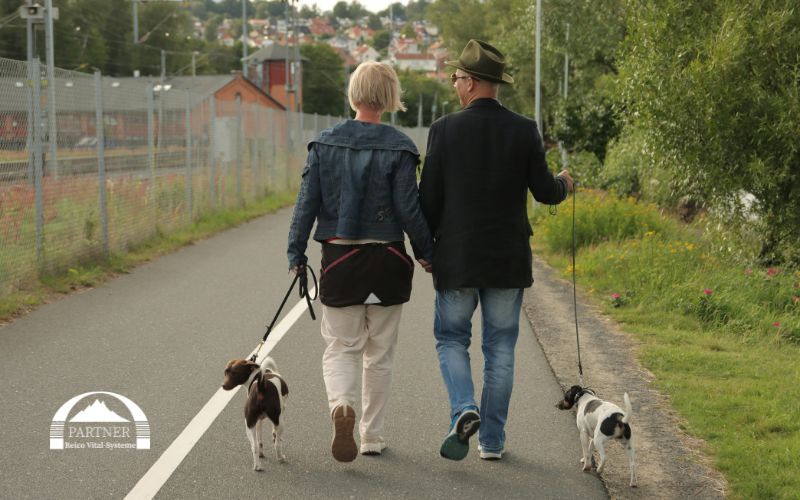 Reico Hundefutter Erfahrungen – warum so viele Hundebesitzer begeistert sind