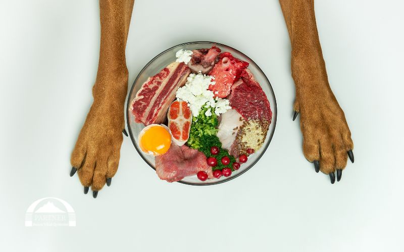 Reico Hundefutter: Wie hoch ist der Fleischanteil wirklich?