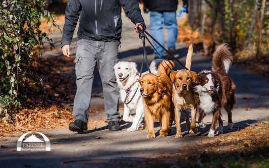 Reico ernsthaft als Geschäft zu führen – warum das so wichtig ist