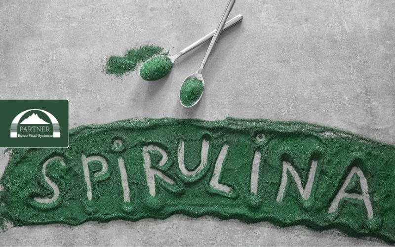 Welche Wirkung hat Spirulina im Reico Ergänzungsfuttermittel?