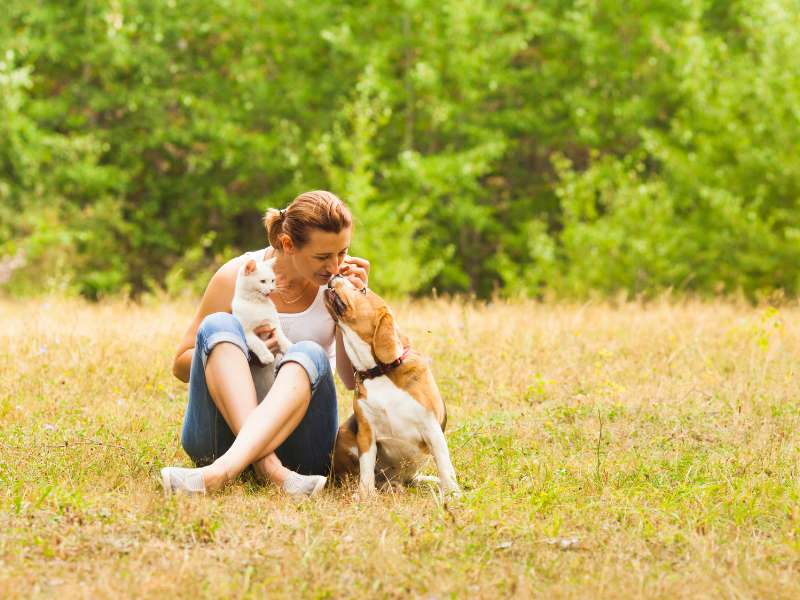 Unbedingt Tierliebhaber gesucht - Damit flächendeckend das Hundefutter alle Hunde erreicht!