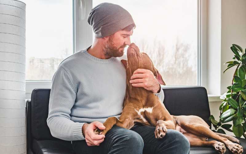 Was Hunde uns mit ihrem Brummen mitteilen wollen