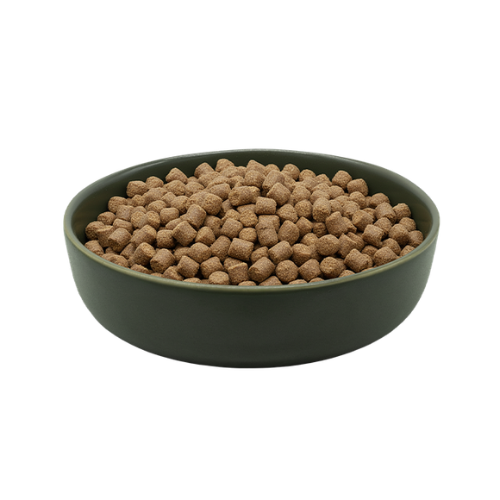 MAXiDOG Allround Champion