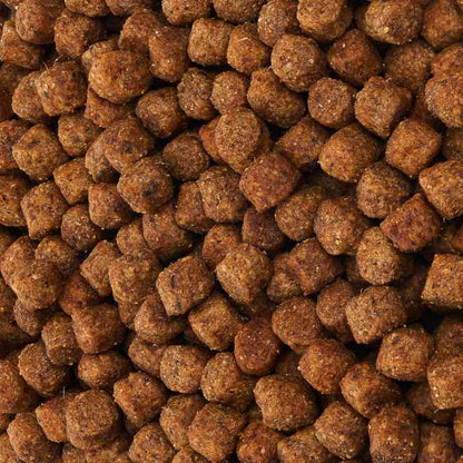 MaxiDog Junior Reico Trockenfutter